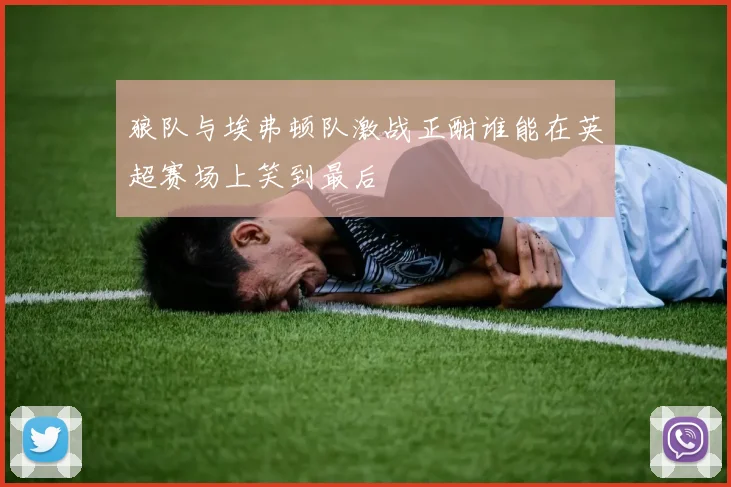 狼队与埃弗顿队激战正酣谁能在英超赛场上笑到最后